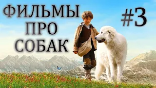 Фильмы про собак (3 часть)