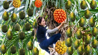 Harvesting Wild Pineapple (Pandanus) - Make Sweet and Sour Ribs Goes to market sell - Lý Thị Hoa