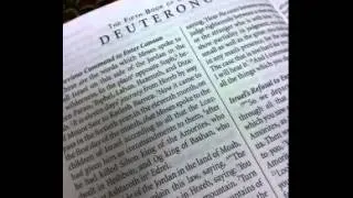 Deuteronomy 14 - New International Version (NIV) Dramatized Audio Bible