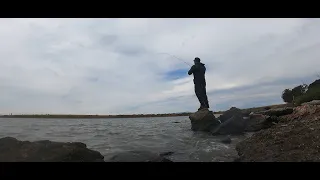 Striper fishing 1 keepers and lots of shakers