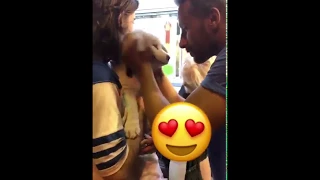 Matthias Schoenaerts with a puppy