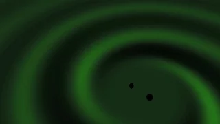 Black Hole Waves Simulation