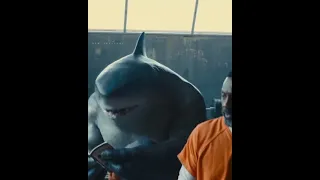 Король акула 🦈 Момент из filma 🎥 поддержите видео пожалуйста лайком и подпиской 🙏🙏🙏🙏🙏