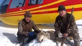 Yakutia. Охота на волков в Якутии. Эвенки. GoldenAldan.ru