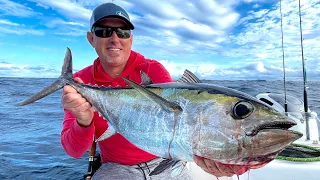 Blackfin Tuna Catch & Cook (Sea Sickness and Hunger Warning , Viewer Discretion is Advised!)