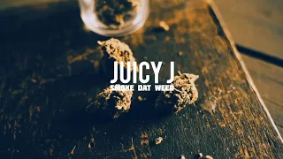 Juicy J - Smoke Dat Weed