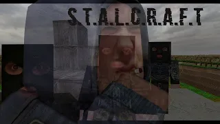 S.T.A.L.C.R.A.F.T - Надежда? или очередной провал?