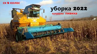 уборка кукурузы пивиха 2022 комбайн ск 6 колос