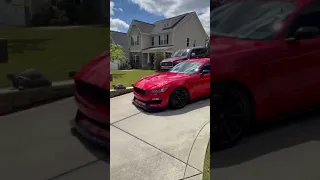 Red Devil 👹 #shorts #ford #shelby #mustang