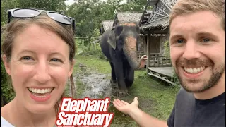 I Love Elephant - Elephant Sanctuary in Koh Samui Thailand and the Mummified Monk Temple!