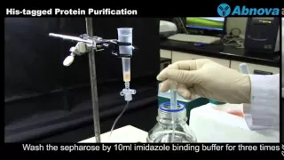 His-tagged Protein Purification