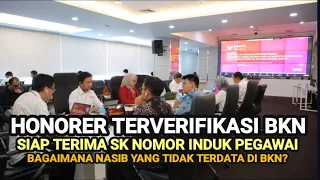 HONORER TERVERIFIKASI BKN, SIAP TERIMA NIP TAHUN 2024, BAGAIMANA NASIB YANG TIDAK TERDAFTAR?