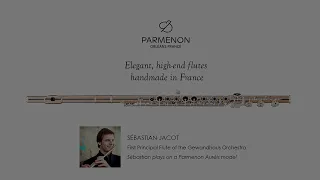 Parmenon flutes and Sébastian Jacot