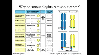 Immunology Lecture 36: Cancer Immunology