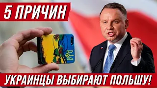 5 причин почему украинцы выбирают Польшу