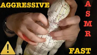 ASMR|⚠️FAST AGGRESSIVE SCRATCHING TAPPING GRIPPING MASSAGE ACUPUNCTURE DOLL TAD. HEAD BACK CHEST
