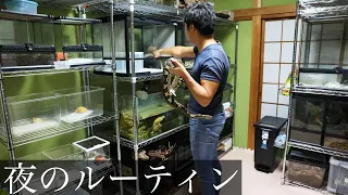 １００匹以上の生き物を飼育する男の夜のルーティン