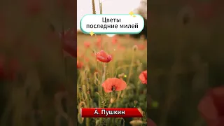 ❤️ Цветы последние милей - стихи А. Пушкина #shorts