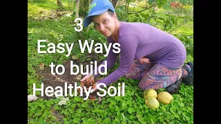 3 Simple Natural Ways to Build Healthy Soil (without fertilizer)