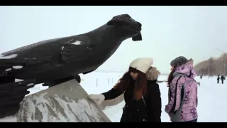 Памятник тюленю-спасителю