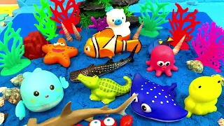 Small World Ocean Diorama   Learn Sea Animal Names