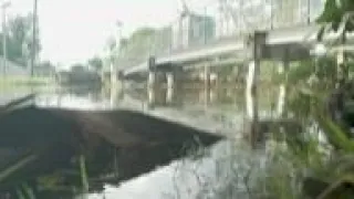 Citizen scientists gauge king tide floods in Miami