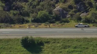 Man taken down by police dog in East County chase