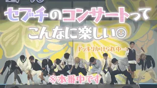 セブチのコンサートの魅力を伝えたい【SEVENTEEN/セブチ/세븐틴】【魅力紹介】【メンバー紹介】