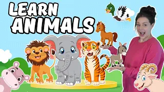Learn Animals | Animal Names & Sounds | Water Play - Toddler Learning Video, Zoo, Farm, Animal Songs