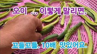 한식 30년이상 맛집 할머니가 알려주신, '오이 장아찌' 황금 레시피 (지금 당장 오이 사오세요!!)