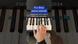 Fur Elise easy piano tutorial!