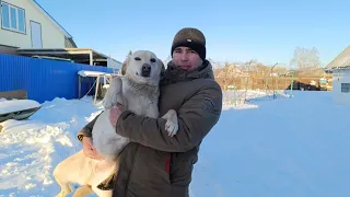 Переезд в РОССИЮ.МУЖ ЗАСТАВЛЯЕТ ЭТО ДЕЛАТЬ!НИ О ЧЁМ НЕ ЖАЛЕЮ,ОБРЕЗАЛА ВОЛОСЫ💇