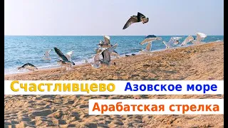 Счастливцево. Арабатская стрелка. Азовское море.