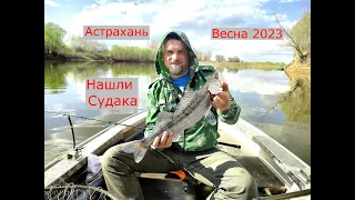 Астрахань. Рыбалка в Апреле 2023. Нашли Много Судака. Часть 1