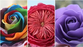 FINALLY David Austin Whimsical Rose Rainbow Rose Previews (Full Tutorial Links In Description Box)