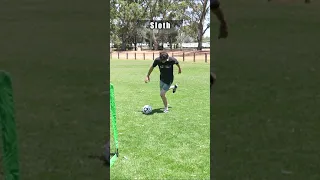 How animals score a goal in Soccer / Football. 😂 Part 1