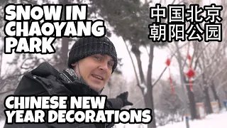 MORE SNOW IN BEIJING - WALK IN CHAOYANG PARK | Vlog #111