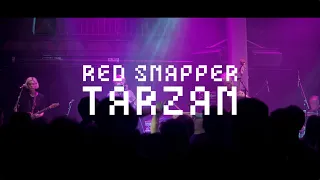 Red Snapper - Tarzan (Official Live Video)