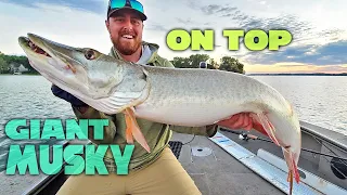 BIGGEST MADISON MUSKIE EVER ON VIDEO!!! - 7 MUSKIE TOPWATER DAY!!!