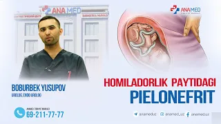 Homiladorlik paytida pielonefrit   alomatlari, samarali davolash usuli haqida