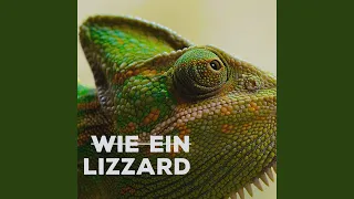 Wie ein Lizzard