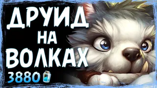 Чудесные ЗВЕРЬКИ🐺НОВЫЙ Агро Друид НА ЗВЕРЯХ Колода | Hearthstone