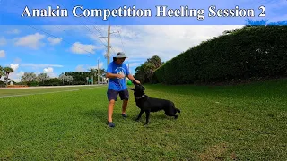 Anakin Competition Heel Session TWO Training Without Conflict