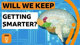 Will humans keep getting smarter? | BBC Ideas