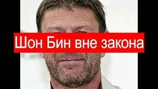 ШОН БИН Вне закона