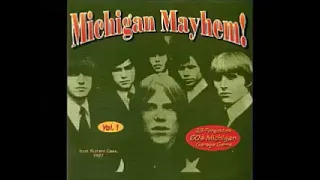 Various – Michigan Mayhem! Vol 1 : 60's Rare Garage Rock Gems, Psychedelic Fuzz Beat R&b Music ALBUM