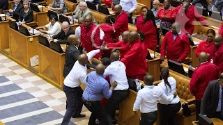 Brawl breaks out in South African parliament