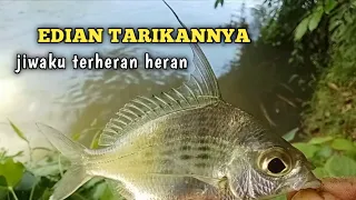 SPOT AIR KERUH ‼️ Satu umpan, Satu ikan