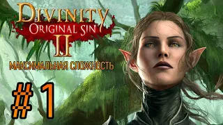 Divinity: Original Sin 2 (Максимальная Сложность) — Часть 1 — Нулевой Акт на корабле и пляж