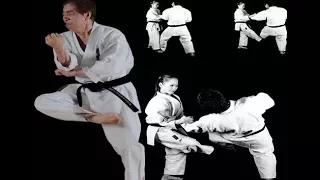 Karatê-Foot Sweep